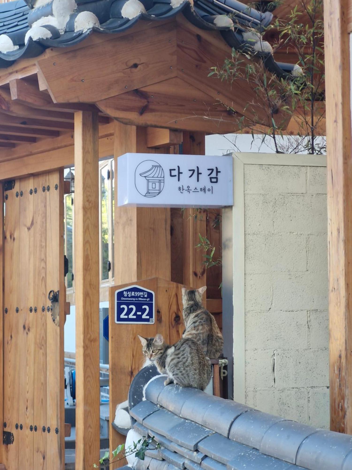 Hanok Stay Da-Ga-Gam Gyeongju Exteriör bild